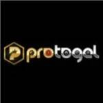protogel protogel Profile Picture