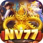 nv77 nv77 Profile Picture