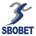 sbobet sbobet Profile Picture