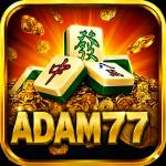 adam77 adam77 Profile Picture