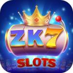 zk7 zk7 Profile Picture