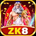 zk8 zk8 Profile Picture